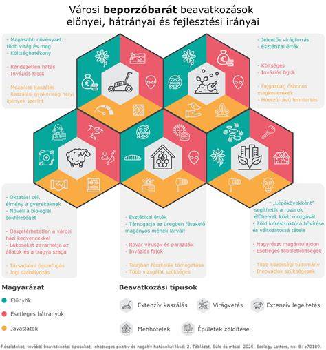 arcforma és fazonok magyar infographic