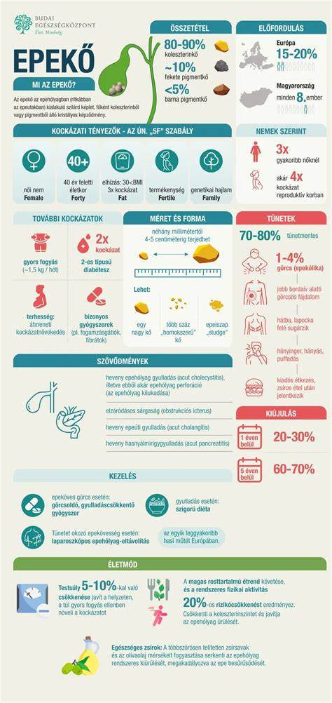 Infografika: tünetek és tüszőgyulladás kezelési lépései