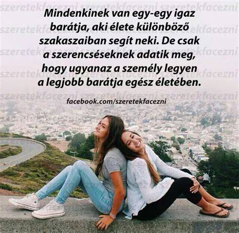humoros barátság idézet témájú vizuális ábrázolás