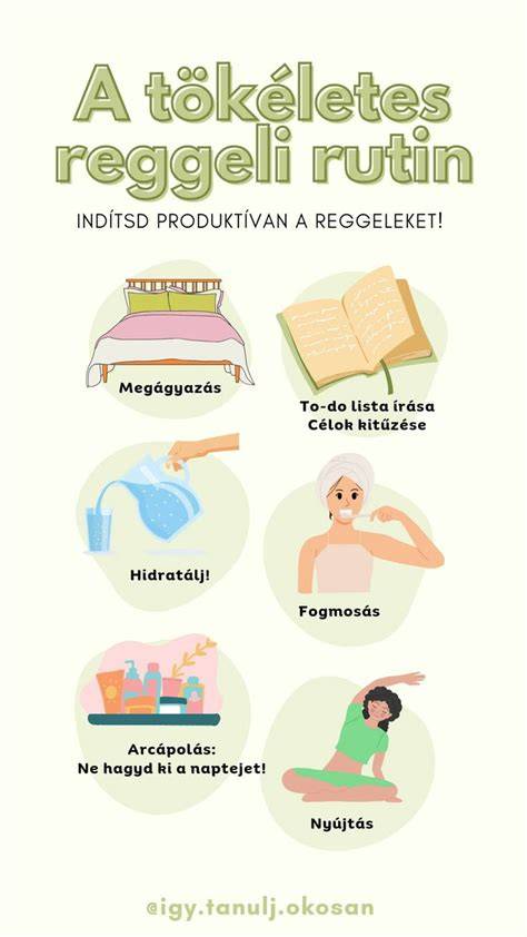 árpontos ápolási rutin infographic