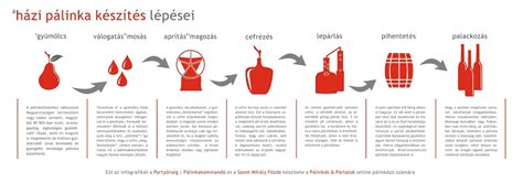 Infografika: A házi hajbalzsam készítésének lépései