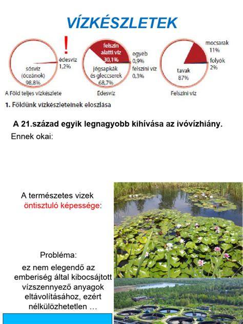 Infografika: A hajszínek eloszlása a világban és a melaninnal kapcsolatos alapok