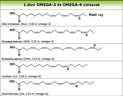 infografika: esszenciális zsírsavak omega-3 és omega-6 aránya