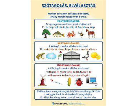 Infografika: spirálformák és hatások - hosszúság, volumen, elválasztás