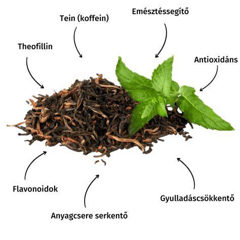 fejbőr egészség és zöld tea összefüggése