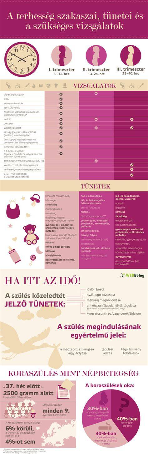 Infografika: hajfestés terhesség alatt - mire figyeljünk