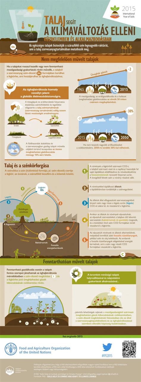 Infografika a vízhiány hatásáról és a klímaváltozás kapcsolatáról
