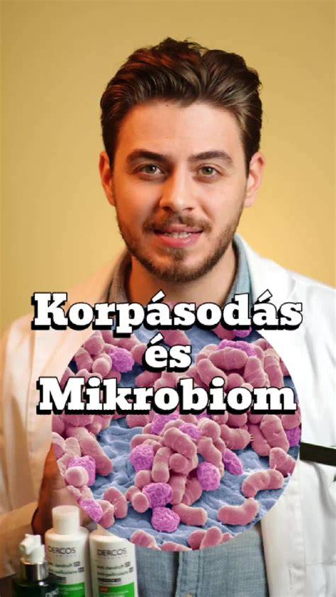 Infografika: Fejbőr mikrobiom és korpa kapcsolata