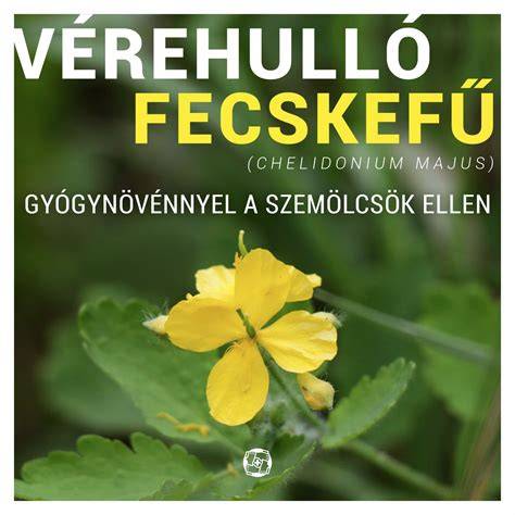 vírusos szemölcsök infografika fejbőr