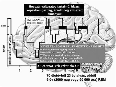 gyorsan lerövidült hajhullás vizuális ábra
