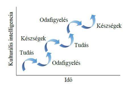 A hajregenerálás folyamata diagram