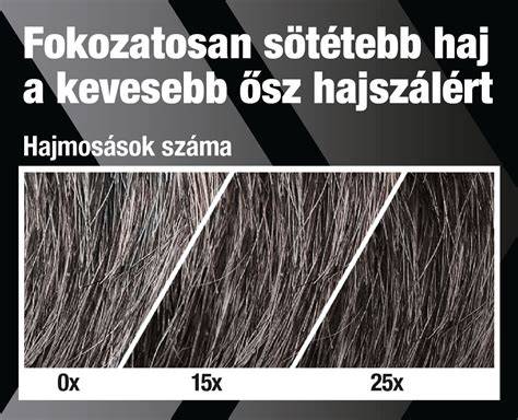 Infografika: ősz haj festése lépésről lépésre
