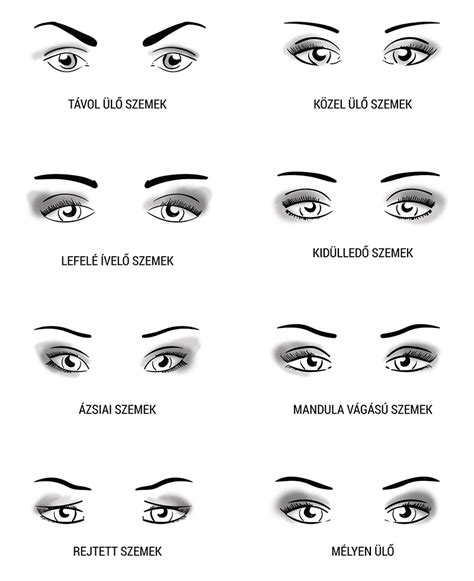 Infografika: Műszempilla típusok áttekintése