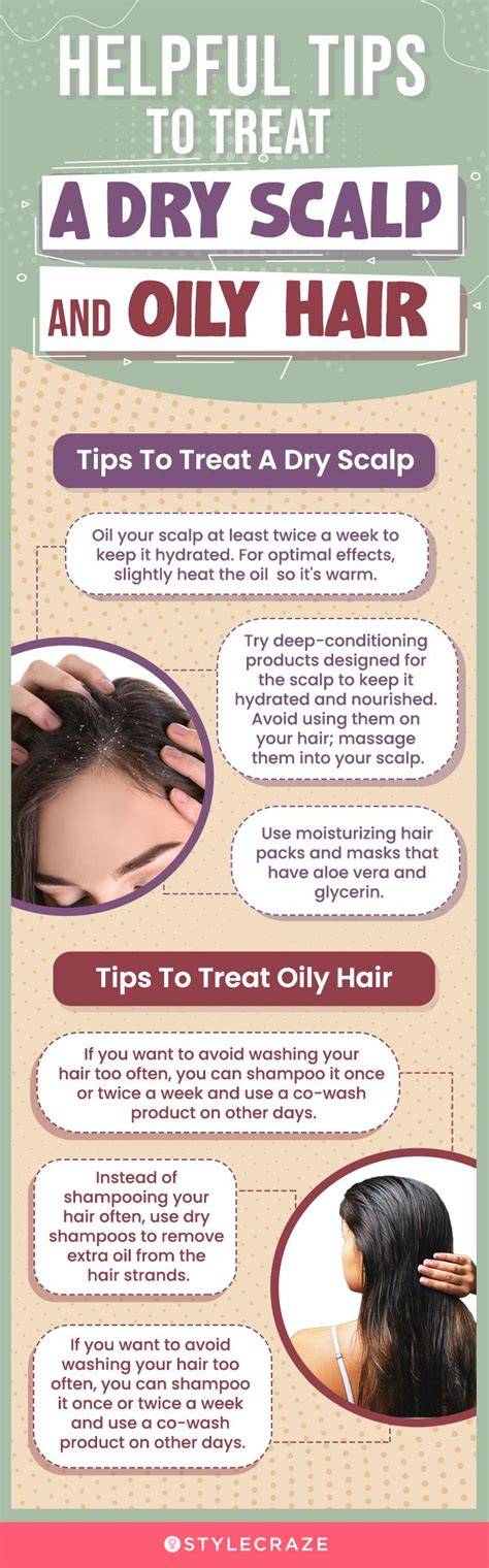 infographic about oily scalp and shampoo action