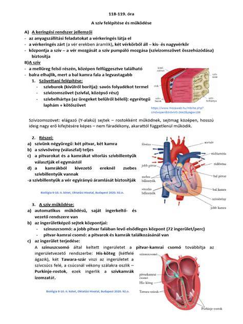 Infografika: EasyLiss SF1517F0 felépítése és vasalási paraméterei