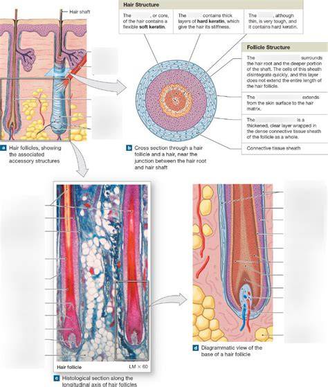 Keratin hajápolási útmutató diagram