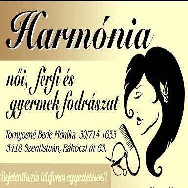 Infografika: Harmónia fodrászat és a Harmónia Hotel kapcsolat diagram