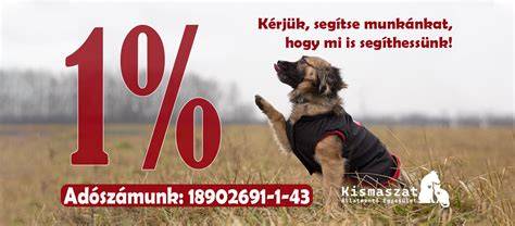 Infografika: kilenc paróka és a hozzájuk kapcsolódó hangulatok