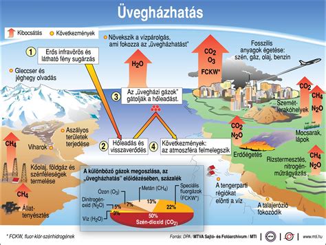 Infografika a hirzutizmus okairól és kivizsgálásáról