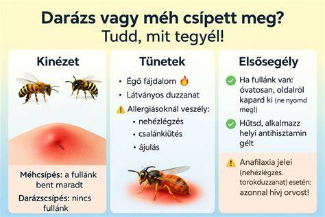 INFÓGRAFIKA: Gubancok megelőzése és kibontásának sorrendje