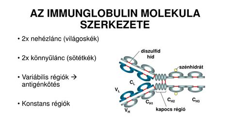 Növényi keratin molekula szerkezete