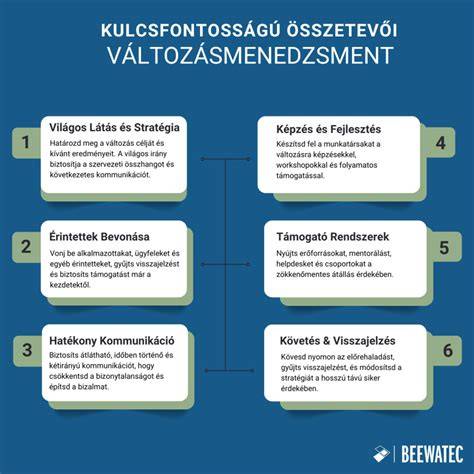 INFÓGRÁFIKA: HÁZI HAJÁPOLÁS ÖSSZETEVŐK és MÓDSZEREK