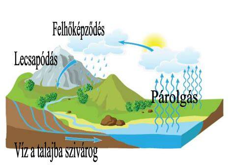 Illusztráció: Hajbeállítás és porozitás kapcsolata