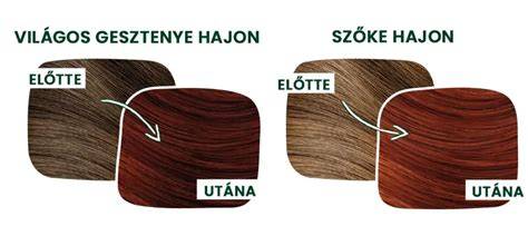 Infografika: Vegetal Color bio minősítések és összetevők