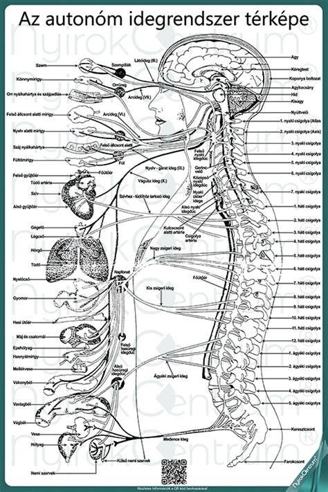 Infografika: emberi pigmentáció történeti térképe