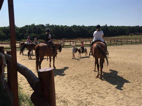 Texas Ranch Lovarda helyszínkép a Pilisi Parkerdőben