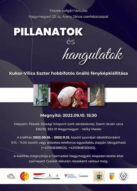 Vendégvélemények és elégedett pillanatok