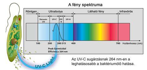 UV-C lámpa működési elve és védelmi intézkedések infografika
