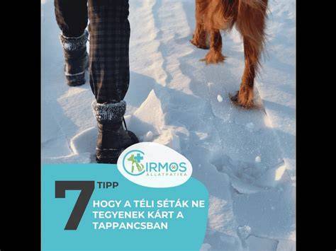 téli kutyaápolás: bundarozsda és tappancsvédelem