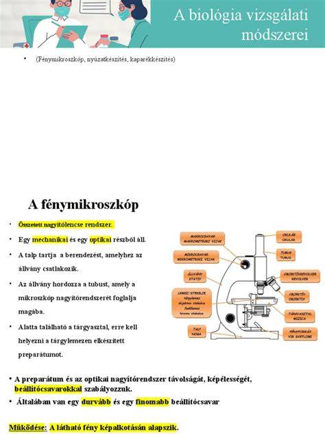 Vizsgálati diagrammák a medRxiv megjelenésről