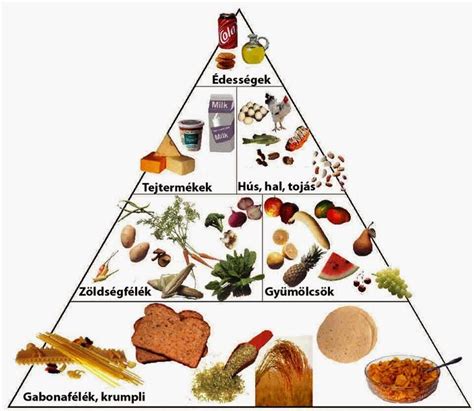 Táplálkozási összefoglaló ábra a hipoallergén diétáról