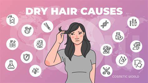 Illustration of dry hair causes and care flow