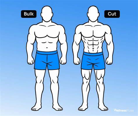 Ábra: bulking vs. cutting folyamatkép