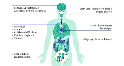 infografika a levegő szűrésének folyamatáról az orrban