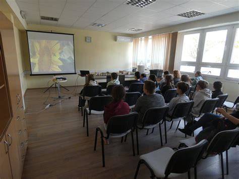 Nagy információs grafika a nanogyűrűzés és a gyűrűs hajfelvarrás lépéseiről