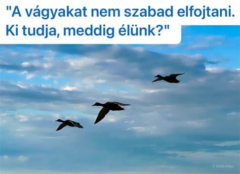 Konzultációs folyamat a szalonokban