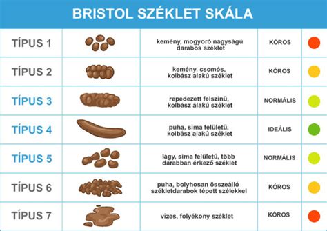 Infografika a véres széklet okairól és a széklet színének jelentéséről
