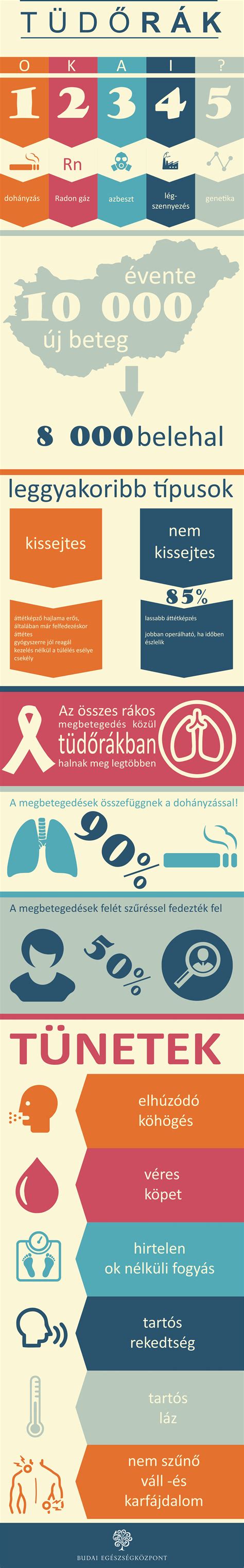 Infografika: Budai Alex útja és tevékenysége