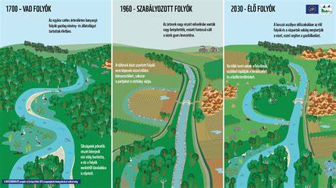 Infografika: Javasolt védőintézkedések a hajfestés során