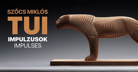 Szőcs Miklós TUI kiállításának katalógusa