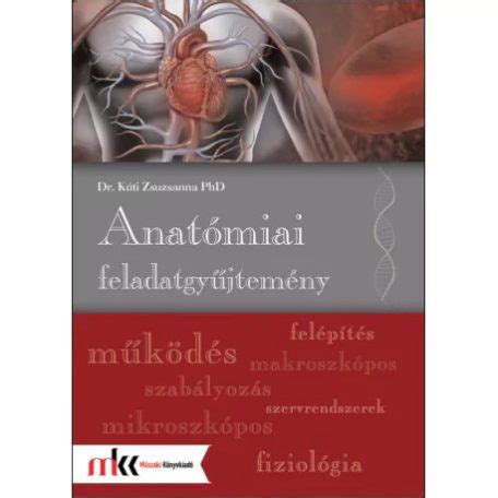 Anatómia és élettani ismeretek a fodrászatban