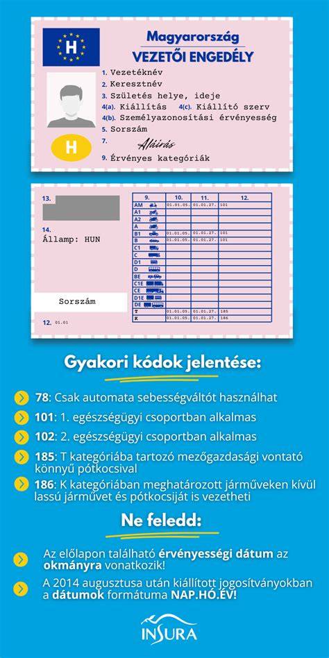 Infografika: Fodrász vizsgamodell és pontozási rendszer