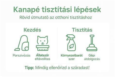 Infografika: Velúr táska tisztítása lépésről lépésre