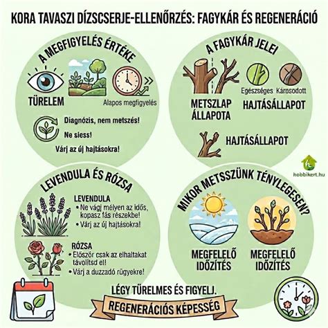 Autóvédelmi-ellenőrzés_infografika