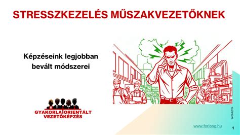 Infografika: praktikus lépések az őszülés lassításához (étrend, stresszkezelés, ápolás)