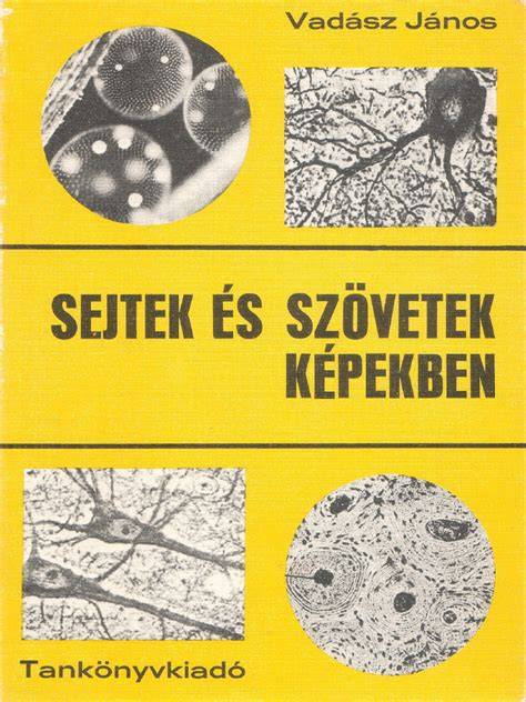 A szőrszín és melanocita sejtek kapcsolata